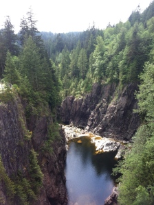 Capilano River from Cleveland Dam